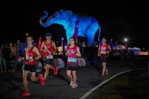 BIB: 
                            <button type="button" onclick="openModal(26551883)" class="btn btn-primary btn-sm float-right btn-popup" data-toggle="modal" data-target=".modal-high-quality">
                        <i class="fas fa-shopping-cart"></i> Add to Cart
                    </button>
                                            <button type="button" onclick="isThisMe(26551883, true)" class="btn btn-success btn-sm float-right btn-popup btn-isme hidden" data-toggle="tooltip" data-placement="bottom" title="นี่คือรูปของคุณใช่ไหม คลิกที่นี่เพื่อเอาเข้าอัลบั้ม">
                        <i class="fas fa-plus"></i> Add to album
                    </button>
                    <button type="button" onclick="isThisMe(26551883, false)" class="btn btn-warning btn-sm float-right btn-popup btn-isnotme hidden">
                        <i class="fas fa-ban"></i> Remove from album
                    </button>